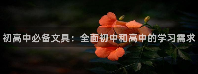 南阳卧龙区娱乐：初高中必备文具：全面初中
