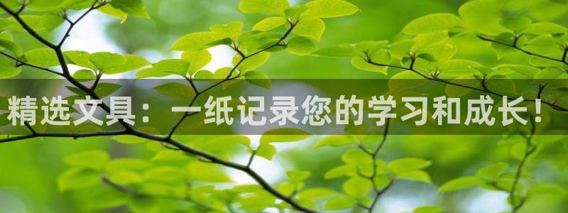 卧龙2神机娱乐攻略：精选文具：一纸记录您
