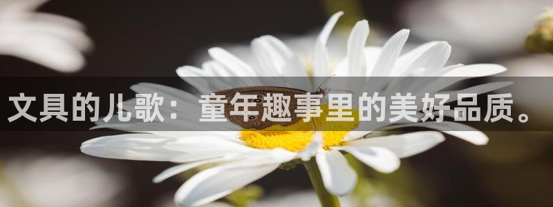 卧龙名都娱乐会所：文具的儿歌：童年趣事里