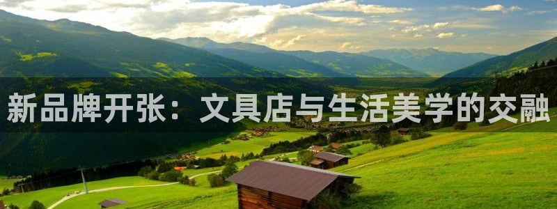卧龙娱乐挂机平台官网：新品牌开张：文具店
