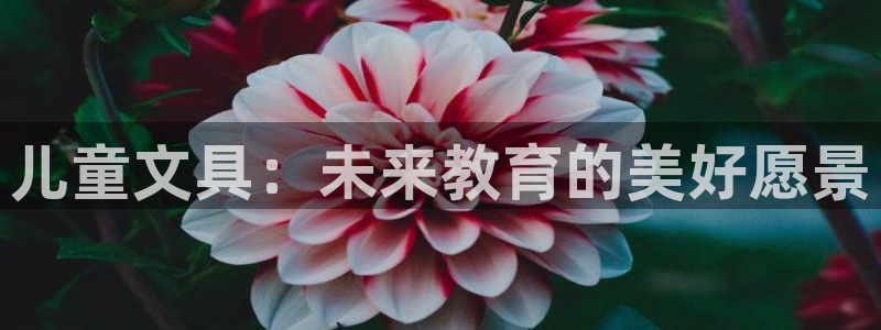 卧龙娱乐怎样注册公司：儿童文具：未来教育