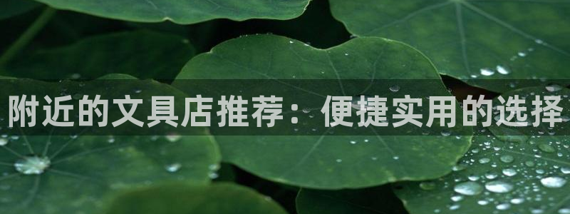 卧龙娱乐382223主管：附近的文具店推