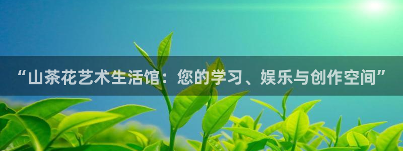 卧龙2娱乐登录：“山茶花艺术生活馆：您的