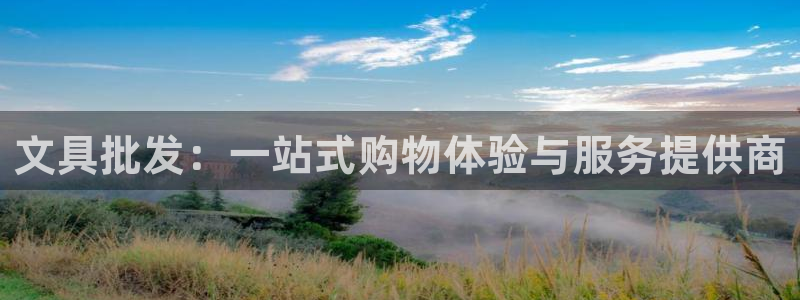 卧龙娱乐集团官网：文具批发：一站式购物体
