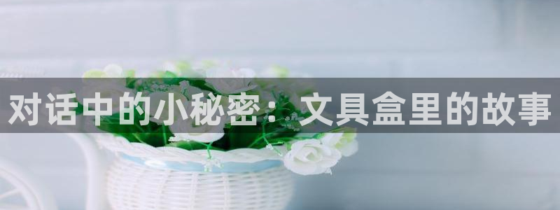 卧龙娱乐老板是谁：对话中的小秘密：文具盒