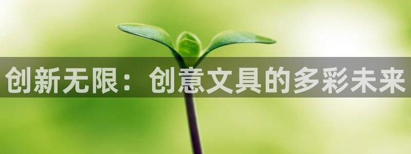 广丰卧龙城娱乐：创新无限：创意文具的多彩