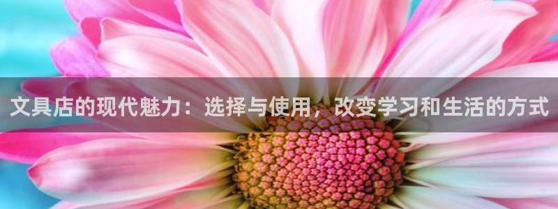 卧龙说娱乐：文具店的现代魅力：选择与使用