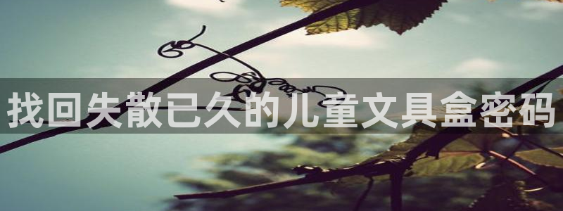 卧龙2神机娱乐注册：找回失散已久的儿童文