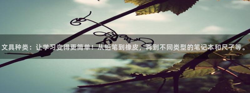 卧龙娱乐怎样注册账号啊：文具种类：让学习
