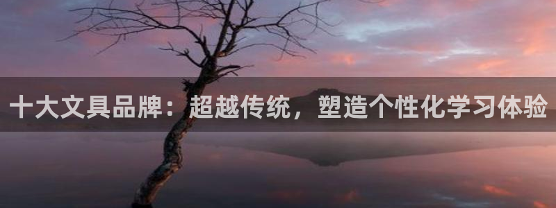 卧龙娱乐在线直播：十大文具品牌：超越传统