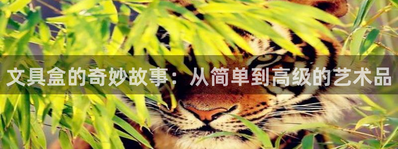 卧龙2神机娱乐攻略：文具盒的奇妙故事：从