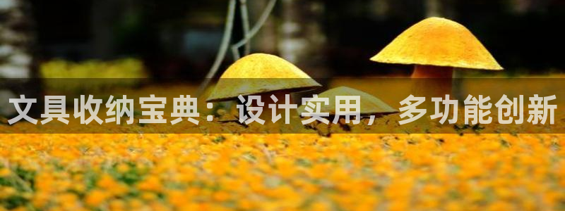 卧龙娱乐在线下载游戏：文具收纳宝典：设计