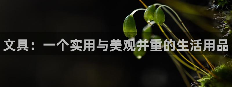 卧龙娱乐在线直播平台：文具：一个实用与美