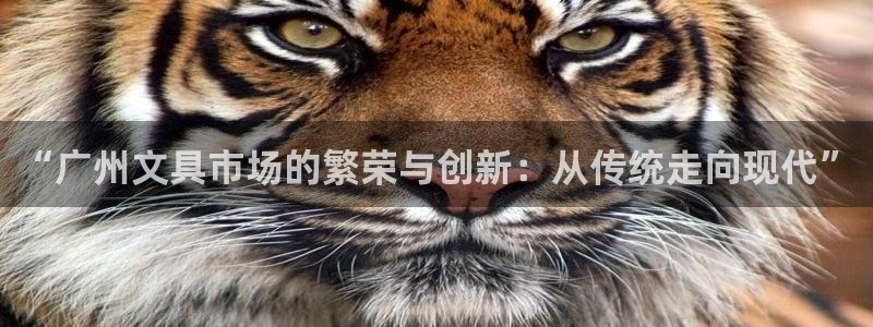 卧龙娱乐老板：“广州文具市场的繁荣与创新