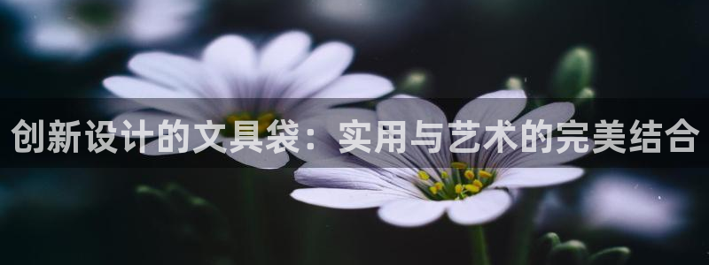 娱乐小卧龙：创新设计的文具袋：实用与艺术