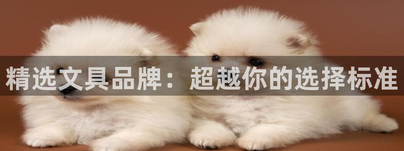 旗下卧龙娱乐：精选文具品牌：超越你的选择