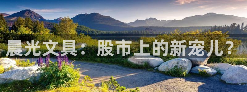 郑州卧龙娱乐设备：晨光文具：股市上的新宠