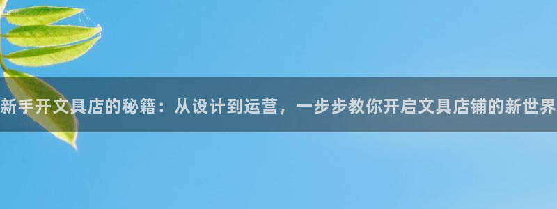 卧龙娱乐前：新手开文具店的秘籍：从设计到