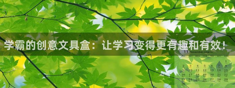 卧龙山娱乐项目：学霸的创意文具盒：让学习