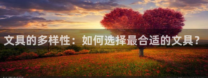 卧龙湾娱乐设施