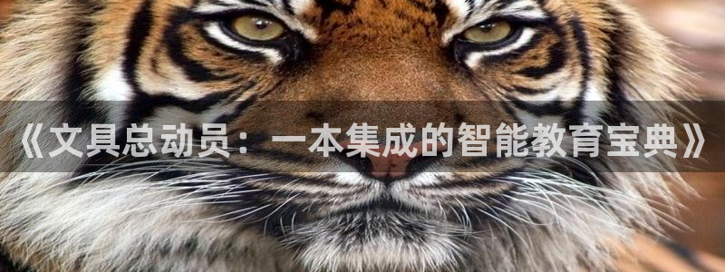 卧龙娱乐是哪个系列：《文具总动员：一本集