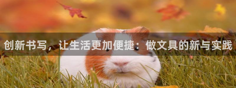 卧龙娱乐违法吗