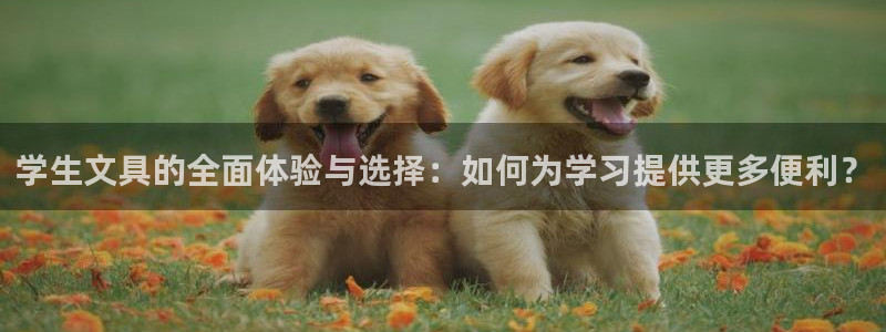 PT娱乐卧龙招商60447：学生文具的全