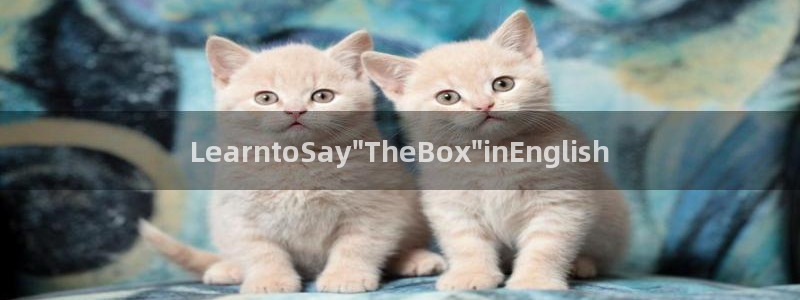 卧龙港娱乐城：LearntoSay\