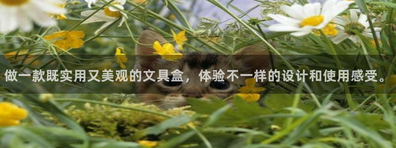 卧龙娱乐登录地址：做一款既实用又美观的文