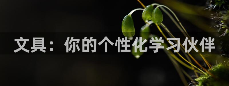 卧龙峡水上娱乐：文具：你的个性化学习伙伴