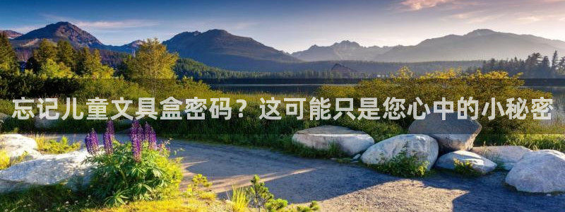 卧龙娱乐382223主管：忘记儿童文具盒