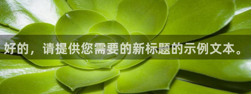 卧龙ktv娱乐会所地址