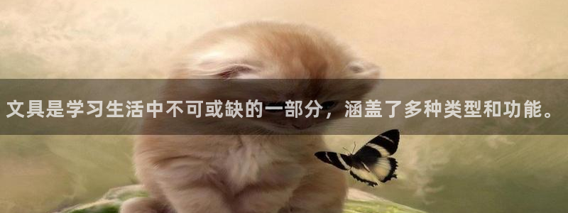 卧龙娱乐注册链接：文具是学习生活中不可或