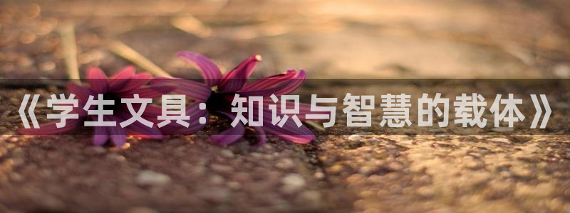 卧龙凤雏娱乐收入：《学生文具：知识与智慧