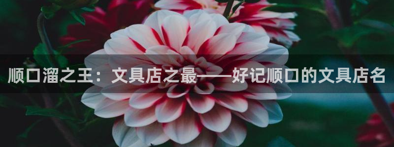 卧龙娱乐测速：顺口溜之王：文具店之最——